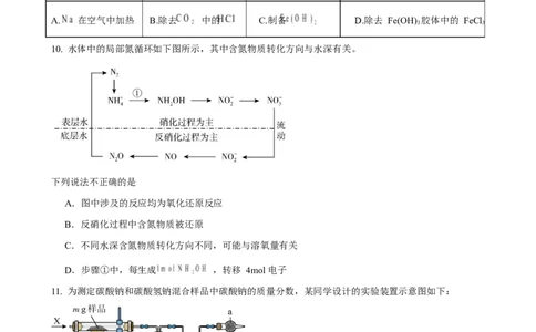 珠海市实验中学2025-2026学年高一上学期1月段考化学试卷_2026年01月高一试卷_260125广东省珠海市实验中学2025-2026学年高一上学期1月段考