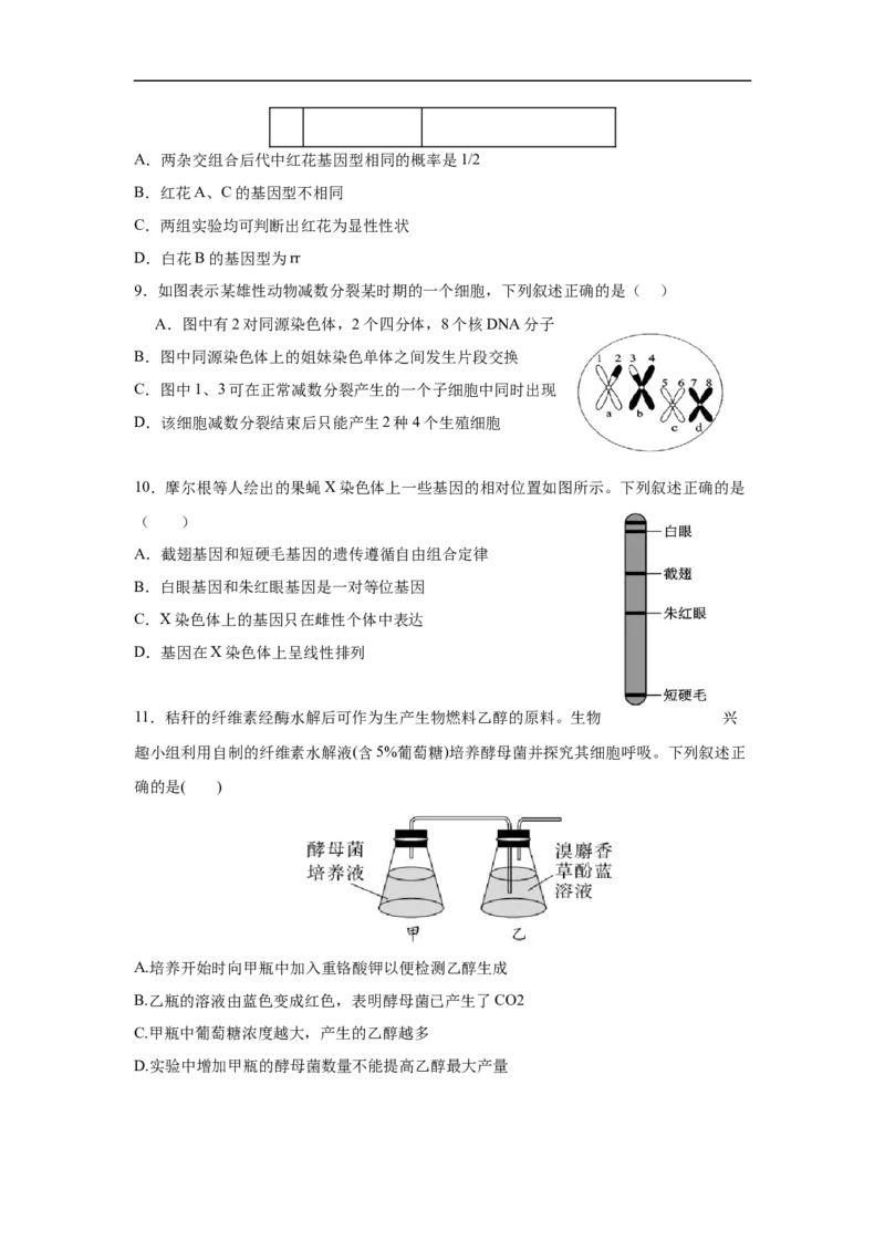 湖南省长沙市长沙市雅礼集团八校联考2024-2025学年高一下学期4月期中生物试题_2025年05月试卷_0530湖南省长沙市雅礼集团八校2024-2025学年高一下学期4月期中联考