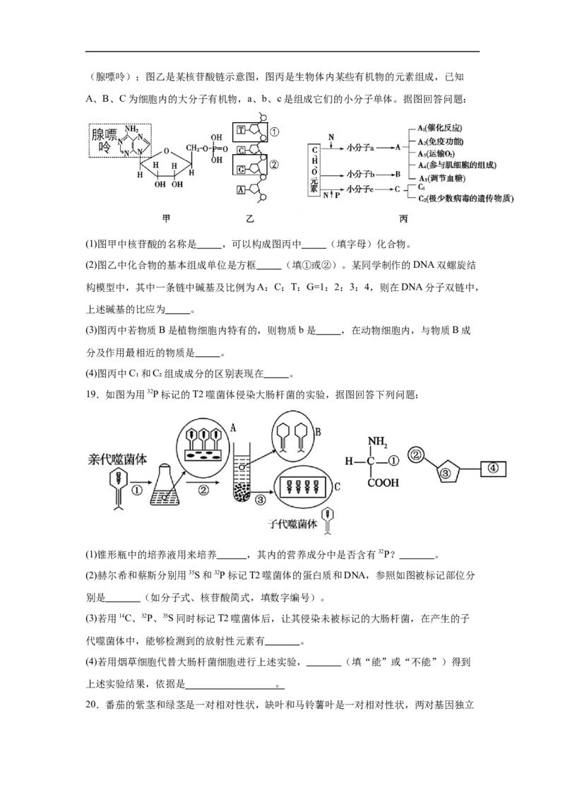 湖南省长沙市长沙市雅礼集团八校联考2024-2025学年高一下学期4月期中生物试题_2025年05月试卷_0530湖南省长沙市雅礼集团八校2024-2025学年高一下学期4月期中联考