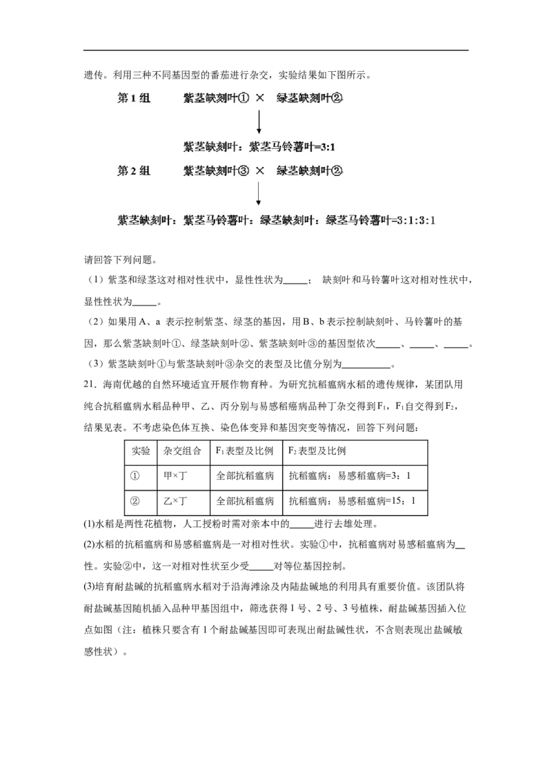 湖南省长沙市长沙市雅礼集团八校联考2024-2025学年高一下学期4月期中生物试题_2025年05月试卷_0530湖南省长沙市雅礼集团八校2024-2025学年高一下学期4月期中联考