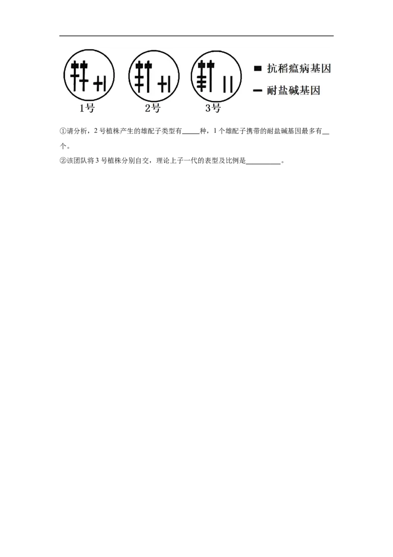 湖南省长沙市长沙市雅礼集团八校联考2024-2025学年高一下学期4月期中生物试题_2025年05月试卷_0530湖南省长沙市雅礼集团八校2024-2025学年高一下学期4月期中联考