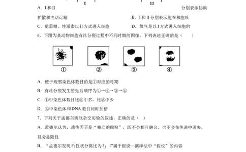 湖南省长沙市长沙市雅礼集团八校联考2024-2025学年高一下学期4月期中生物试题_2025年05月试卷_0530湖南省长沙市雅礼集团八校2024-2025学年高一下学期4月期中联考