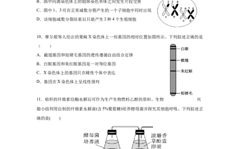 湖南省长沙市长沙市雅礼集团八校联考2024-2025学年高一下学期4月期中生物试题_2025年05月试卷_0530湖南省长沙市雅礼集团八校2024-2025学年高一下学期4月期中联考