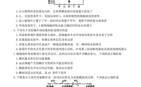 湖南省长沙市第一中学2025-2026学年高一上学期1月期末考试生物试题_2026年02月高一试卷_260210湖南省长沙市第一中学2025-2026学年高一上学期1月期末