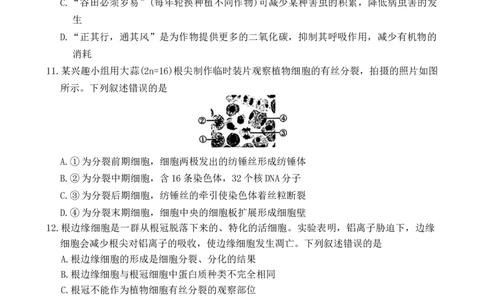 湖南省长沙市第一中学2025-2026学年高一上学期1月期末考试生物试题_2026年02月高一试卷_260210湖南省长沙市第一中学2025-2026学年高一上学期1月期末