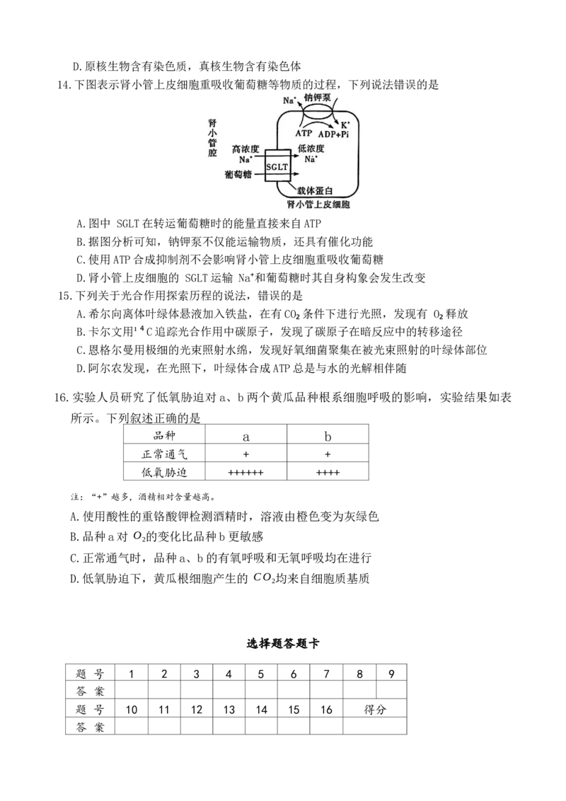 湖南省长沙市第一中学2025-2026学年高一上学期1月期末考试生物试题_2026年02月高一试卷_260210湖南省长沙市第一中学2025-2026学年高一上学期1月期末