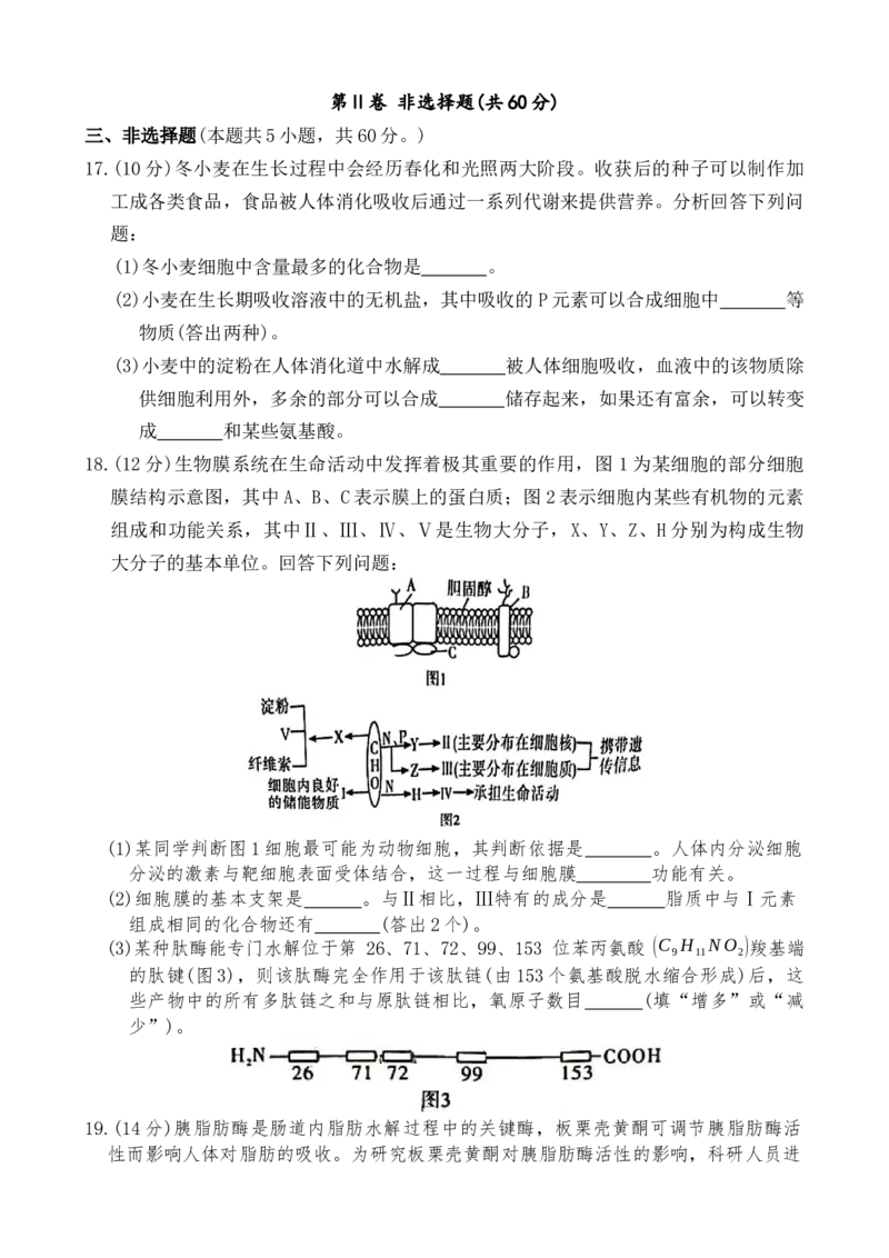 湖南省长沙市第一中学2025-2026学年高一上学期1月期末考试生物试题_2026年02月高一试卷_260210湖南省长沙市第一中学2025-2026学年高一上学期1月期末