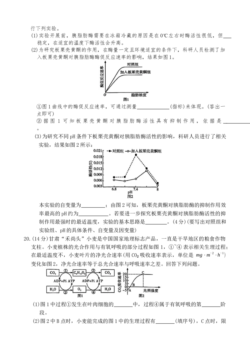 湖南省长沙市第一中学2025-2026学年高一上学期1月期末考试生物试题_2026年02月高一试卷_260210湖南省长沙市第一中学2025-2026学年高一上学期1月期末
