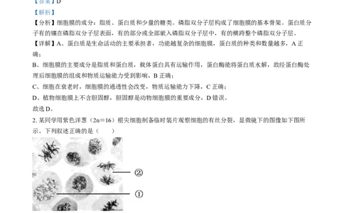湖南省长沙市第十一中学2024-2025学年高一上学期12月月考生物试题（解析版）_2025年01月试卷_0103湖南省长沙市第十一中学2024-2025学年高一上学期12月考试