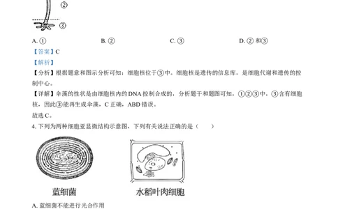 湖南省长沙市第十一中学2024-2025学年高一上学期12月月考生物试题（解析版）_2025年01月试卷_0103湖南省长沙市第十一中学2024-2025学年高一上学期12月考试