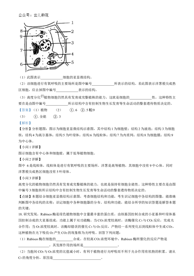 湖南省长沙市第十一中学2024-2025学年高一上学期12月月考生物试题（解析版）_2025年01月试卷_0103湖南省长沙市第十一中学2024-2025学年高一上学期12月考试