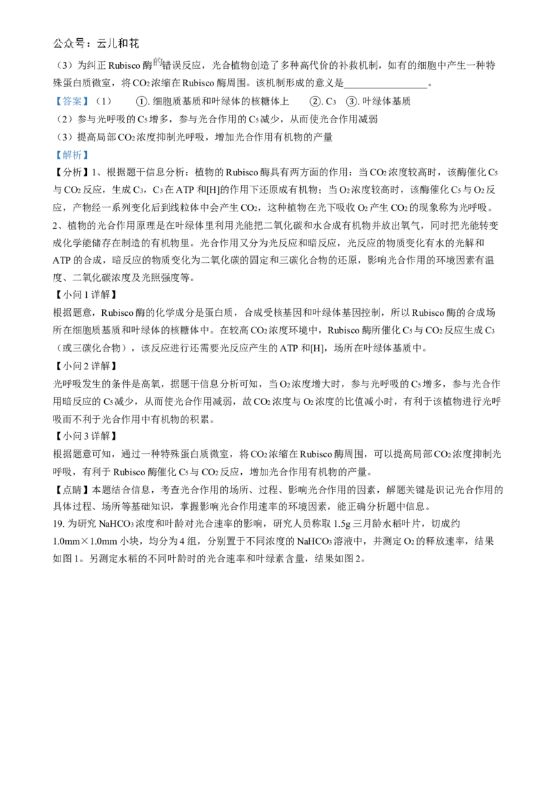 湖南省长沙市第十一中学2024-2025学年高一上学期12月月考生物试题（解析版）_2025年01月试卷_0103湖南省长沙市第十一中学2024-2025学年高一上学期12月考试