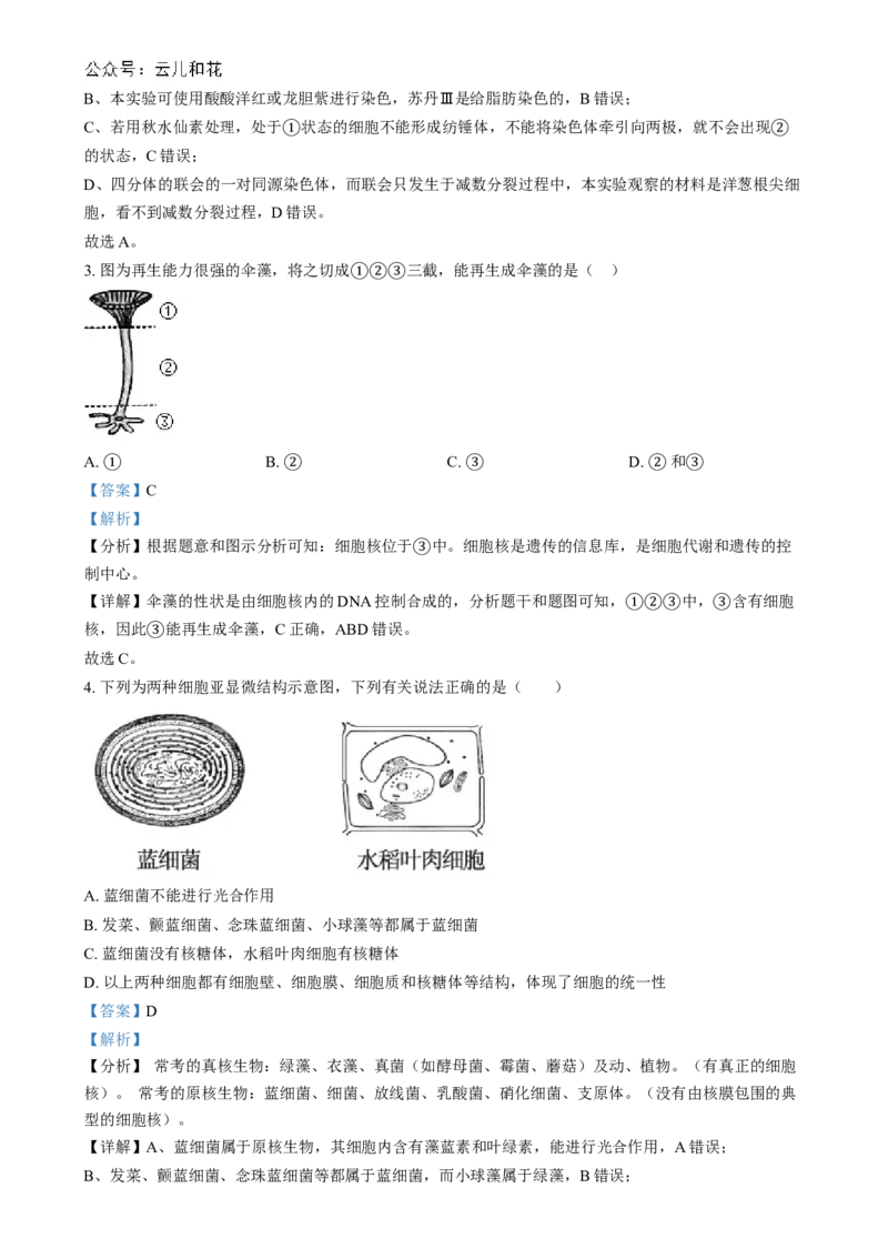 湖南省长沙市第十一中学2024-2025学年高一上学期12月月考生物试题（解析版）_2025年01月试卷_0103湖南省长沙市第十一中学2024-2025学年高一上学期12月考试