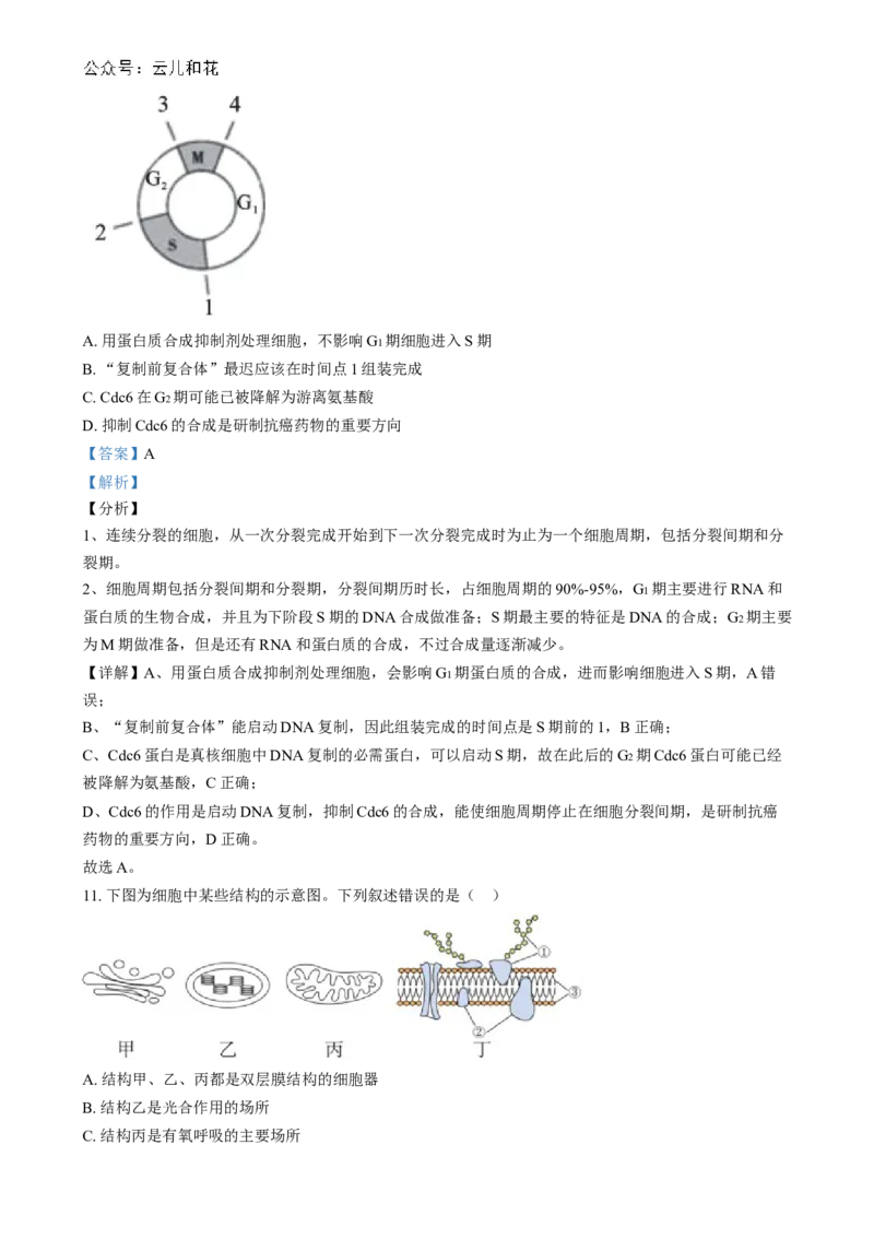 湖南省长沙市第十一中学2024-2025学年高一上学期12月月考生物试题（解析版）_2025年01月试卷_0103湖南省长沙市第十一中学2024-2025学年高一上学期12月考试