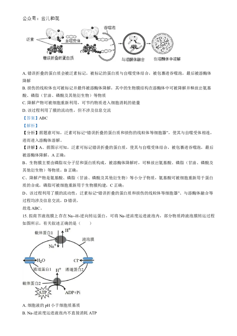 湖南省长沙市第十一中学2024-2025学年高一上学期12月月考生物试题（解析版）_2025年01月试卷_0103湖南省长沙市第十一中学2024-2025学年高一上学期12月考试