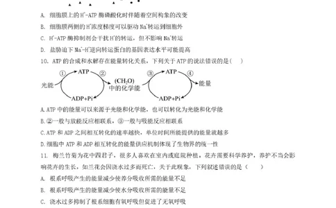 甘肃省兰州第一中学2024-2025学年高一上学期1月期末考试生物试卷（图片版）_2025年02月试卷_0210甘肃省兰州第一中学2024-2025学年高一上学期1月期末考试
