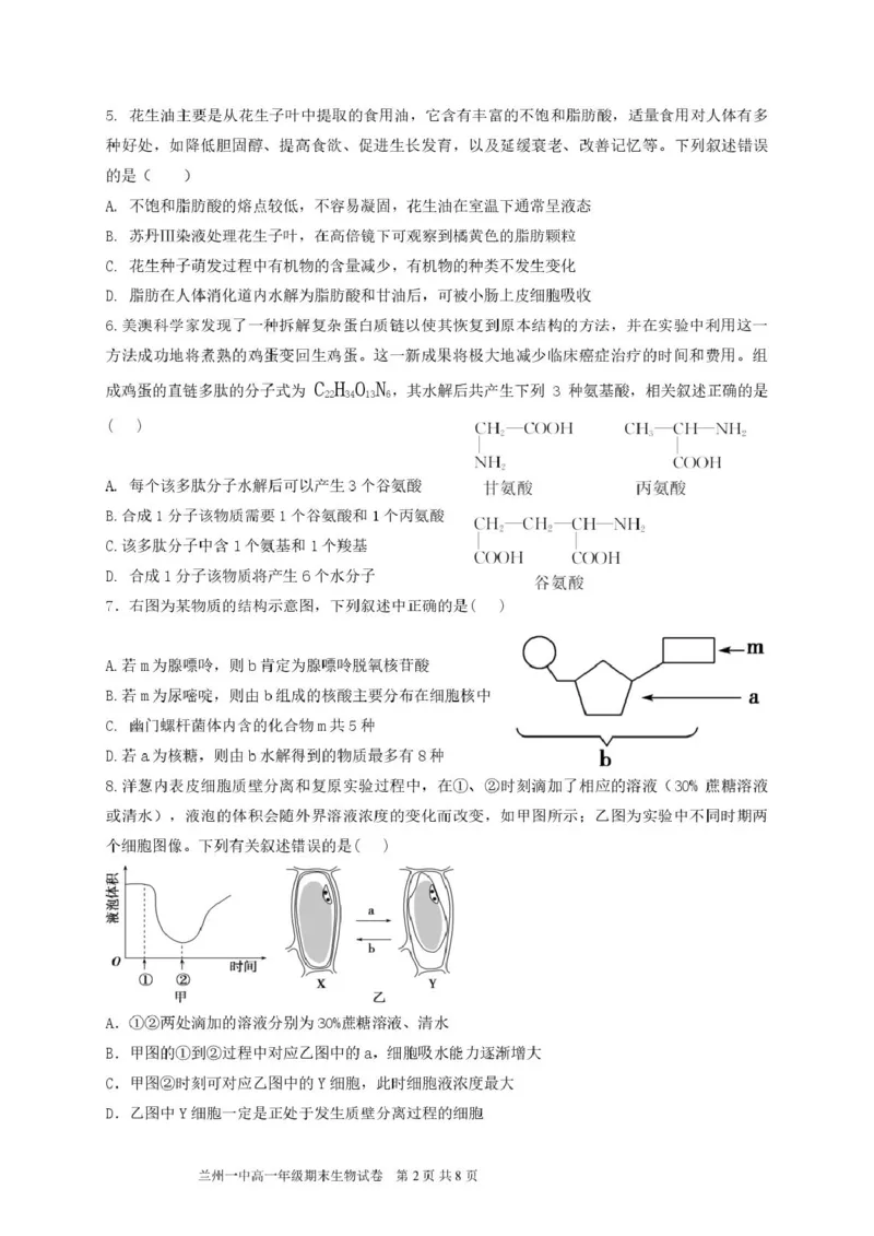 甘肃省兰州第一中学2024-2025学年高一上学期1月期末考试生物试卷（图片版）_2025年02月试卷_0210甘肃省兰州第一中学2024-2025学年高一上学期1月期末考试
