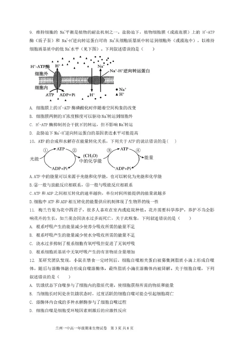 甘肃省兰州第一中学2024-2025学年高一上学期1月期末考试生物试卷（图片版）_2025年02月试卷_0210甘肃省兰州第一中学2024-2025学年高一上学期1月期末考试