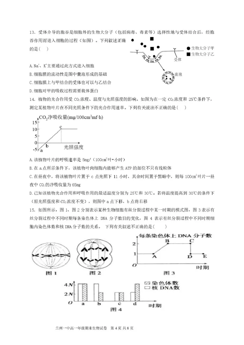 甘肃省兰州第一中学2024-2025学年高一上学期1月期末考试生物试卷（图片版）_2025年02月试卷_0210甘肃省兰州第一中学2024-2025学年高一上学期1月期末考试