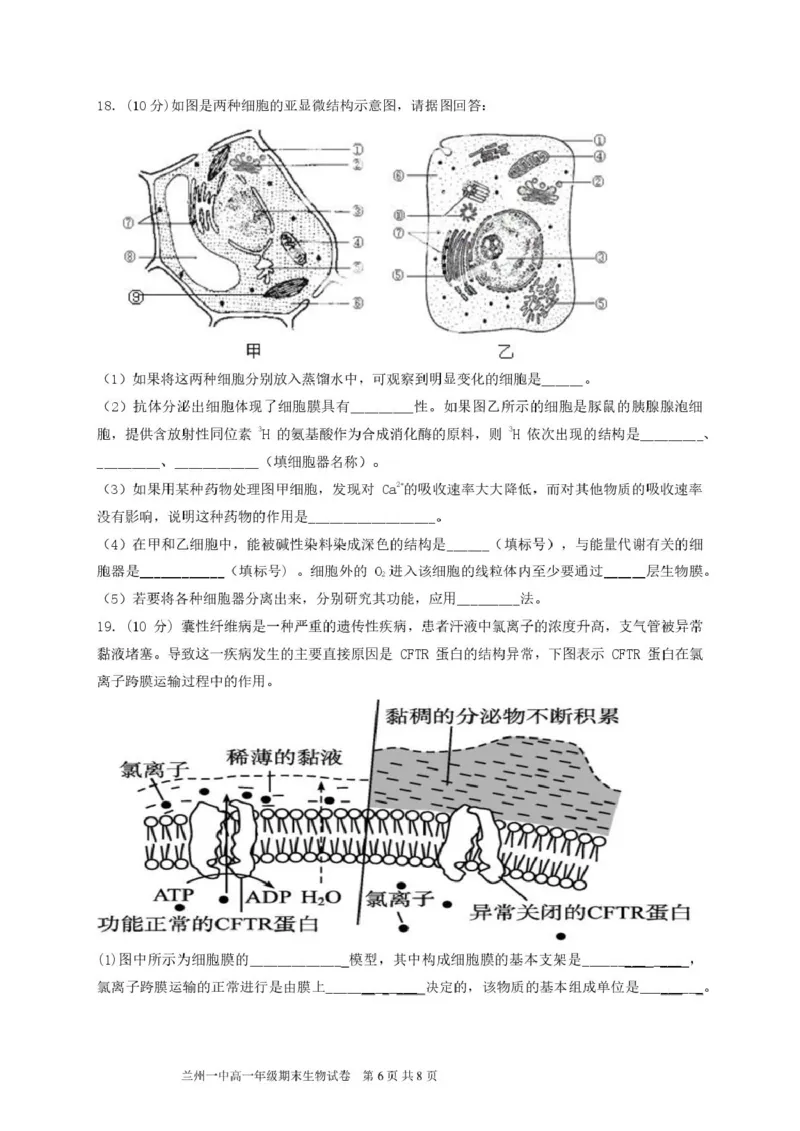 甘肃省兰州第一中学2024-2025学年高一上学期1月期末考试生物试卷（图片版）_2025年02月试卷_0210甘肃省兰州第一中学2024-2025学年高一上学期1月期末考试