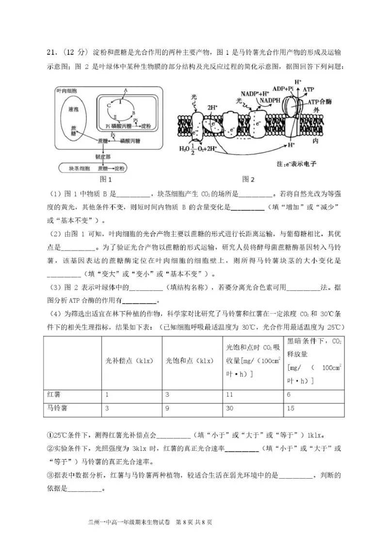 甘肃省兰州第一中学2024-2025学年高一上学期1月期末考试生物试卷（图片版）_2025年02月试卷_0210甘肃省兰州第一中学2024-2025学年高一上学期1月期末考试