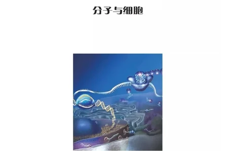 新沪科版高中生物必修1《分子与细胞》_电子课本_最新版高中全科高清电子课本_6高中生物课本_2019新人教版