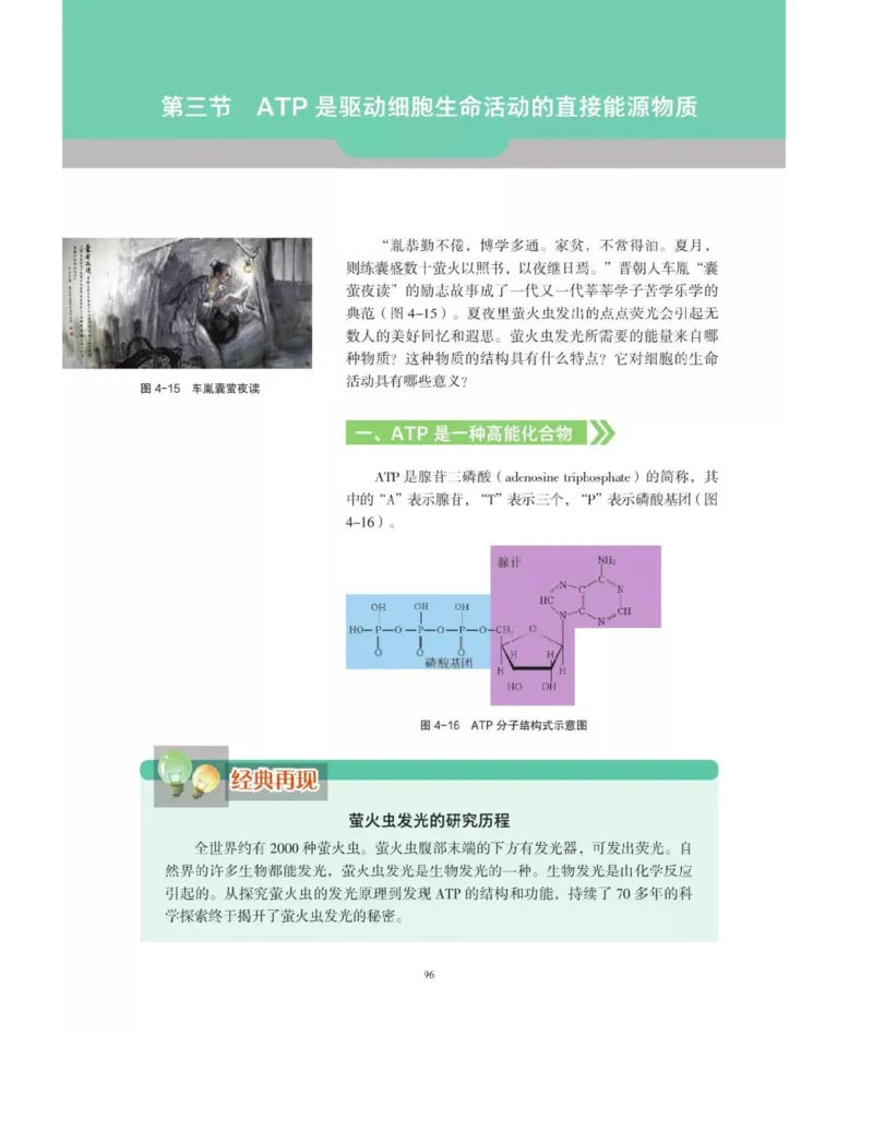 新沪科版高中生物必修1《分子与细胞》_电子课本_最新版高中全科高清电子课本_6高中生物课本_2019新人教版
