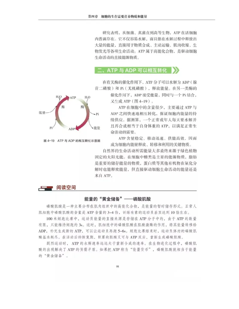 新沪科版高中生物必修1《分子与细胞》_电子课本_最新版高中全科高清电子课本_6高中生物课本_2019新人教版