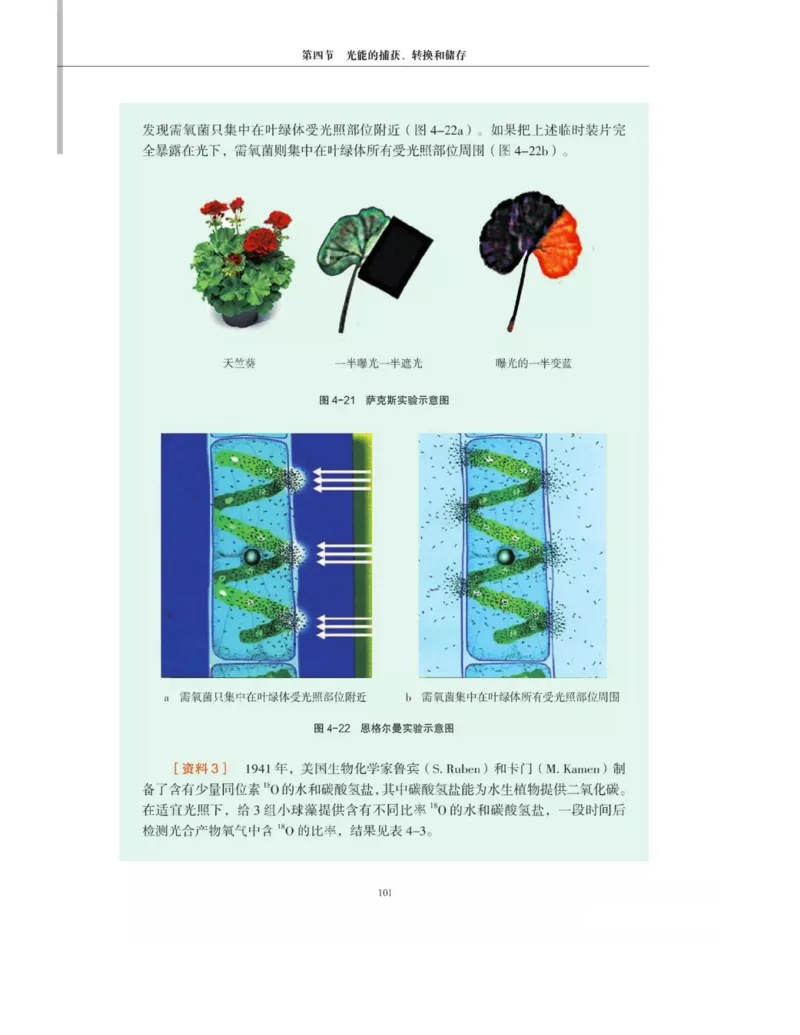 新沪科版高中生物必修1《分子与细胞》_电子课本_最新版高中全科高清电子课本_6高中生物课本_2019新人教版