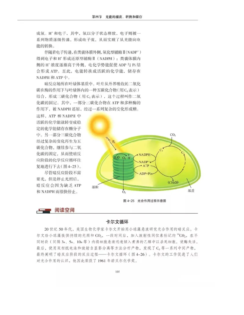 新沪科版高中生物必修1《分子与细胞》_电子课本_最新版高中全科高清电子课本_6高中生物课本_2019新人教版