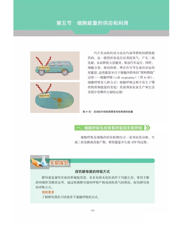 新沪科版高中生物必修1《分子与细胞》_电子课本_最新版高中全科高清电子课本_6高中生物课本_2019新人教版