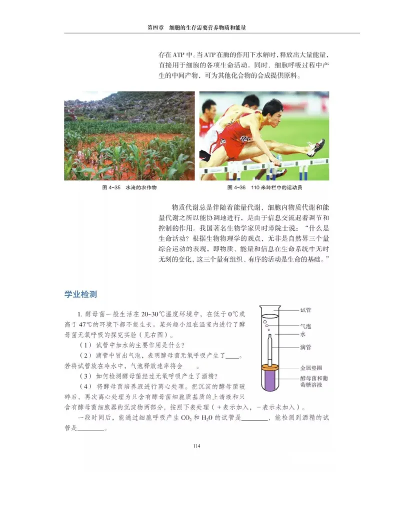 新沪科版高中生物必修1《分子与细胞》_电子课本_最新版高中全科高清电子课本_6高中生物课本_2019新人教版