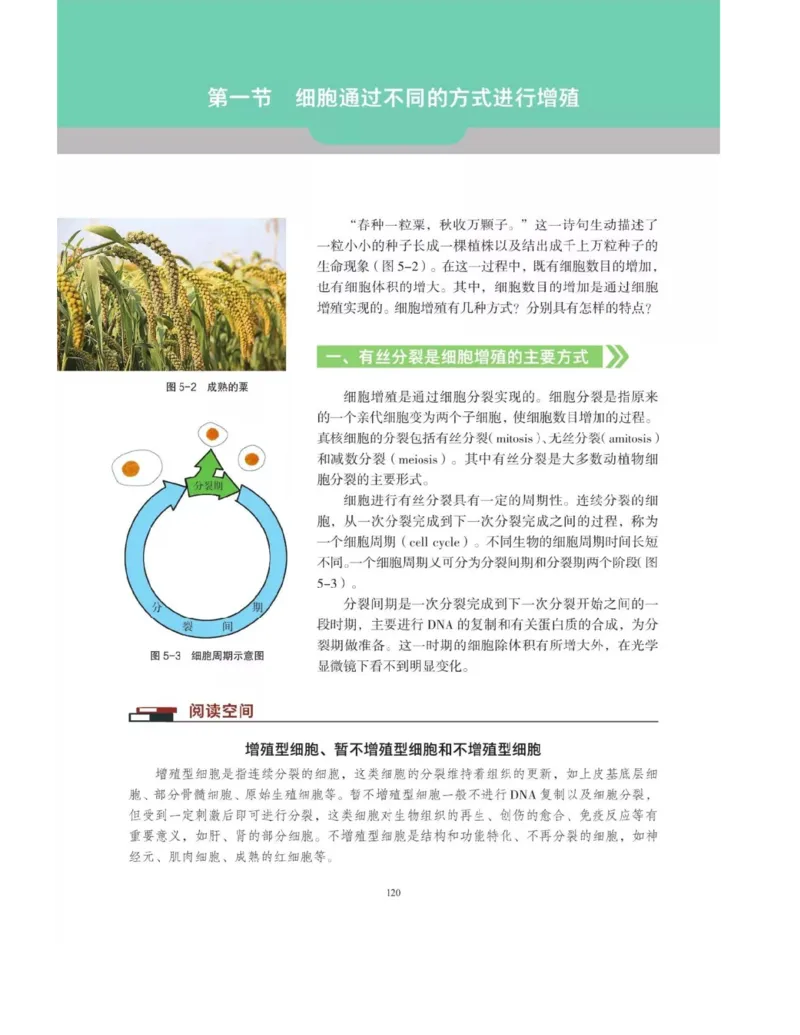 新沪科版高中生物必修1《分子与细胞》_电子课本_最新版高中全科高清电子课本_6高中生物课本_2019新人教版