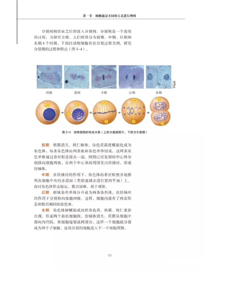 新沪科版高中生物必修1《分子与细胞》_电子课本_最新版高中全科高清电子课本_6高中生物课本_2019新人教版