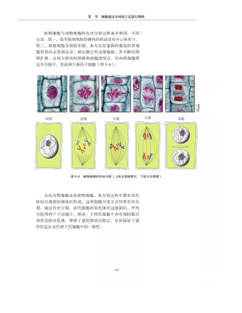 新沪科版高中生物必修1《分子与细胞》_电子课本_最新版高中全科高清电子课本_6高中生物课本_2019新人教版