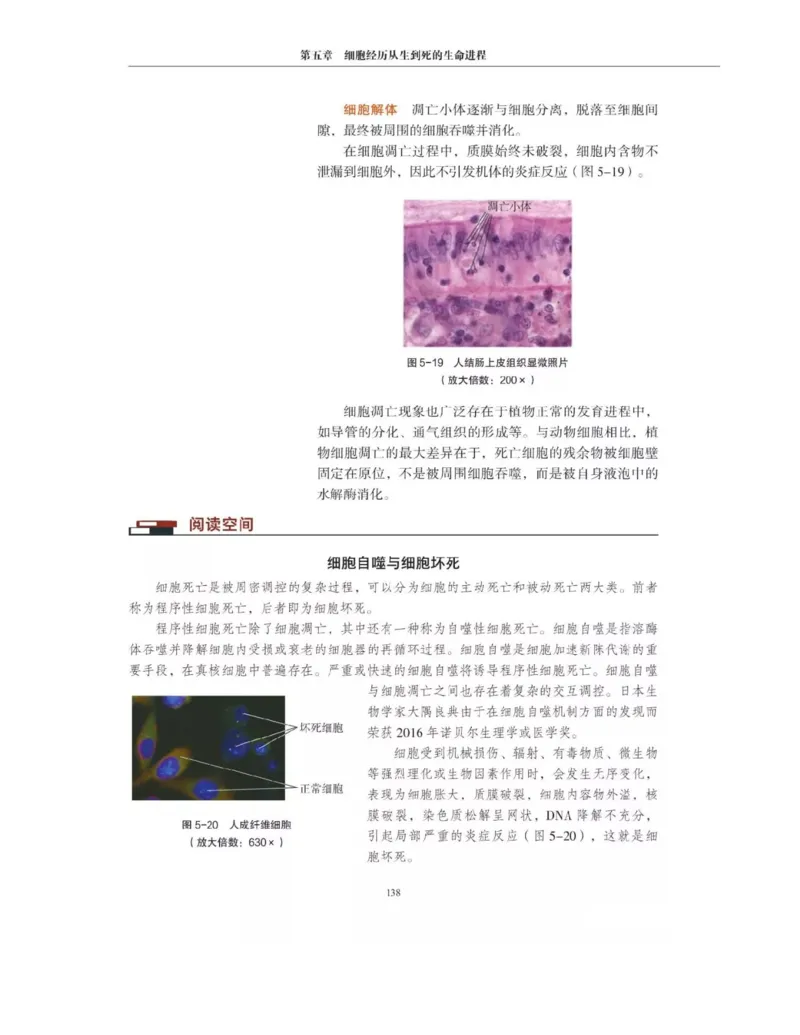新沪科版高中生物必修1《分子与细胞》_电子课本_最新版高中全科高清电子课本_6高中生物课本_2019新人教版