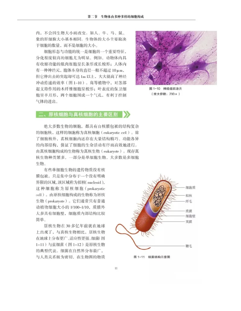 新沪科版高中生物必修1《分子与细胞》_电子课本_最新版高中全科高清电子课本_6高中生物课本_2019新人教版