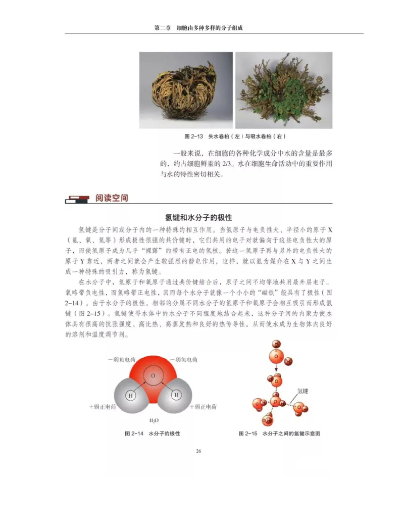 新沪科版高中生物必修1《分子与细胞》_电子课本_最新版高中全科高清电子课本_6高中生物课本_2019新人教版