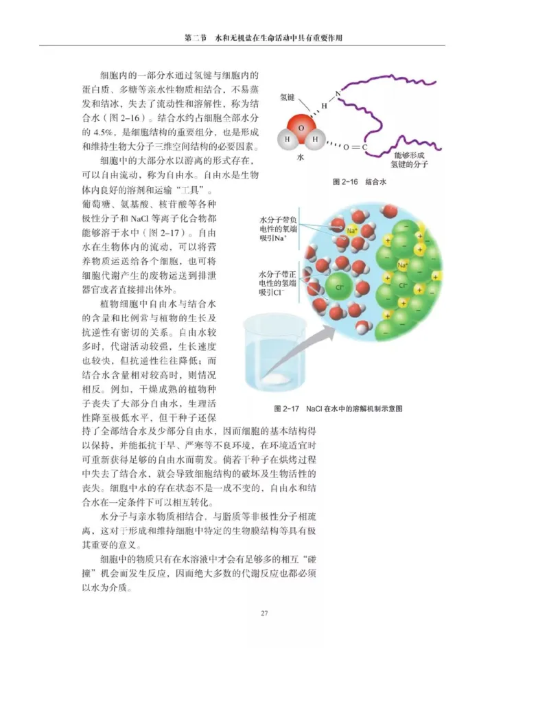 新沪科版高中生物必修1《分子与细胞》_电子课本_最新版高中全科高清电子课本_6高中生物课本_2019新人教版