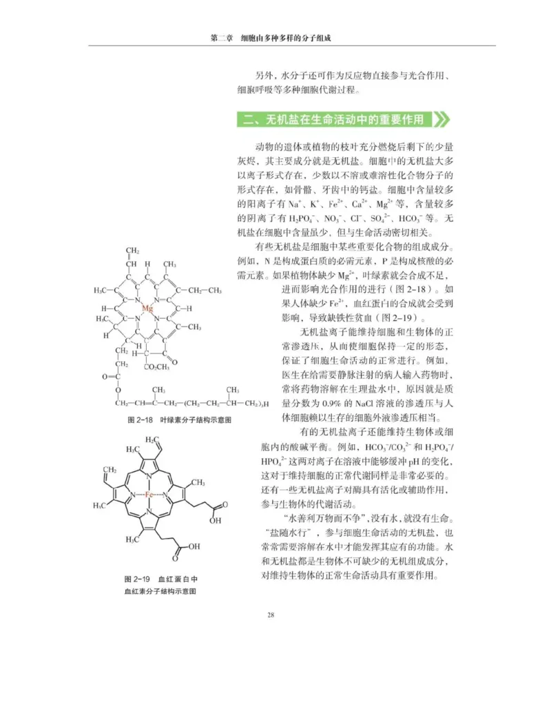 新沪科版高中生物必修1《分子与细胞》_电子课本_最新版高中全科高清电子课本_6高中生物课本_2019新人教版