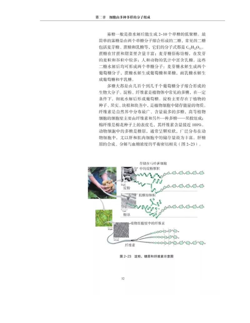 新沪科版高中生物必修1《分子与细胞》_电子课本_最新版高中全科高清电子课本_6高中生物课本_2019新人教版