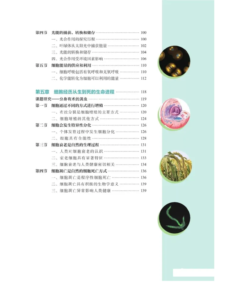 新沪科版高中生物必修1《分子与细胞》_电子课本_最新版高中全科高清电子课本_6高中生物课本_2019新人教版