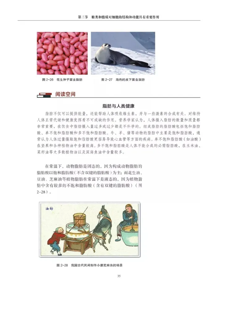 新沪科版高中生物必修1《分子与细胞》_电子课本_最新版高中全科高清电子课本_6高中生物课本_2019新人教版