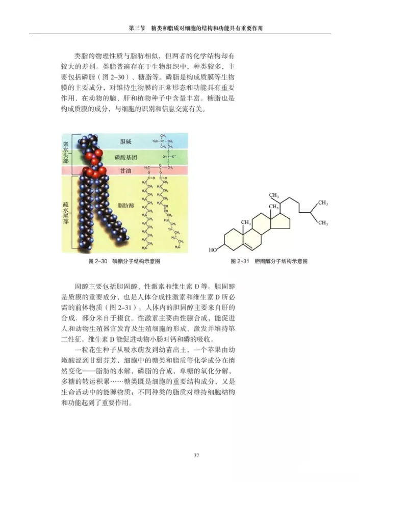 新沪科版高中生物必修1《分子与细胞》_电子课本_最新版高中全科高清电子课本_6高中生物课本_2019新人教版