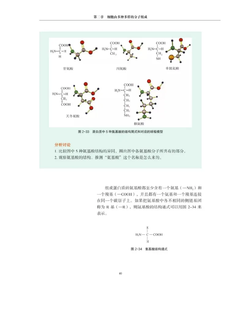 新沪科版高中生物必修1《分子与细胞》_电子课本_最新版高中全科高清电子课本_6高中生物课本_2019新人教版