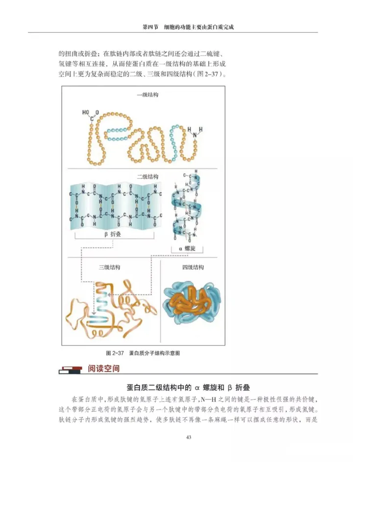 新沪科版高中生物必修1《分子与细胞》_电子课本_最新版高中全科高清电子课本_6高中生物课本_2019新人教版