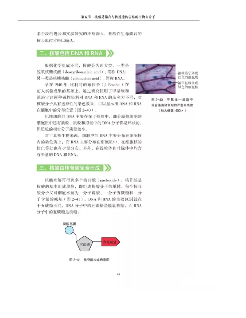 新沪科版高中生物必修1《分子与细胞》_电子课本_最新版高中全科高清电子课本_6高中生物课本_2019新人教版