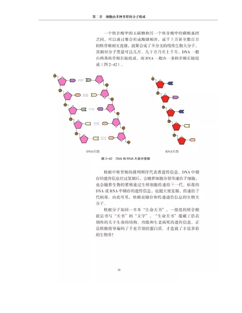 新沪科版高中生物必修1《分子与细胞》_电子课本_最新版高中全科高清电子课本_6高中生物课本_2019新人教版