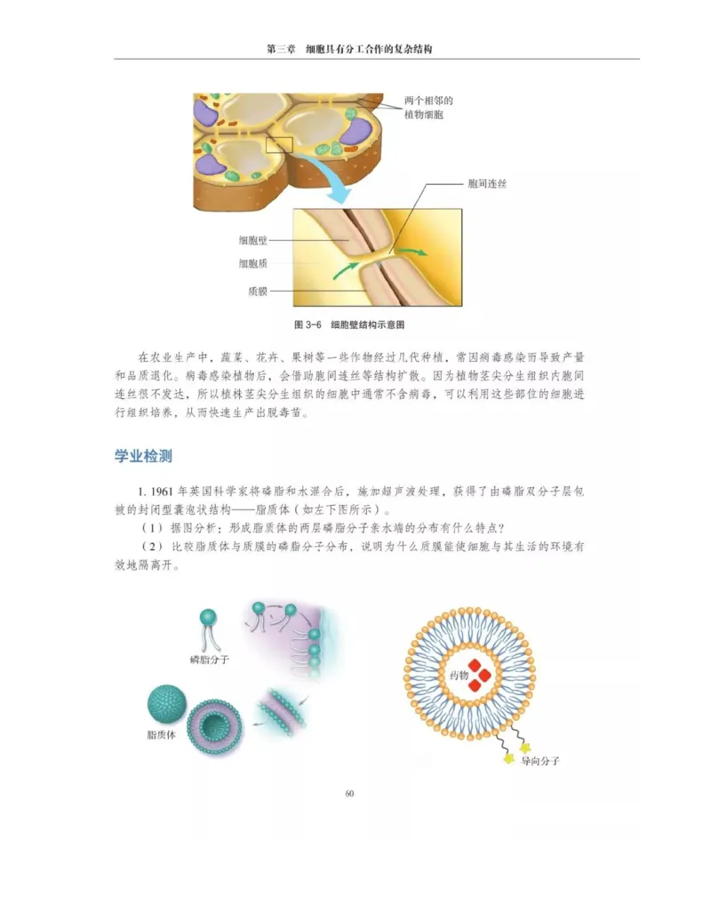 新沪科版高中生物必修1《分子与细胞》_电子课本_最新版高中全科高清电子课本_6高中生物课本_2019新人教版