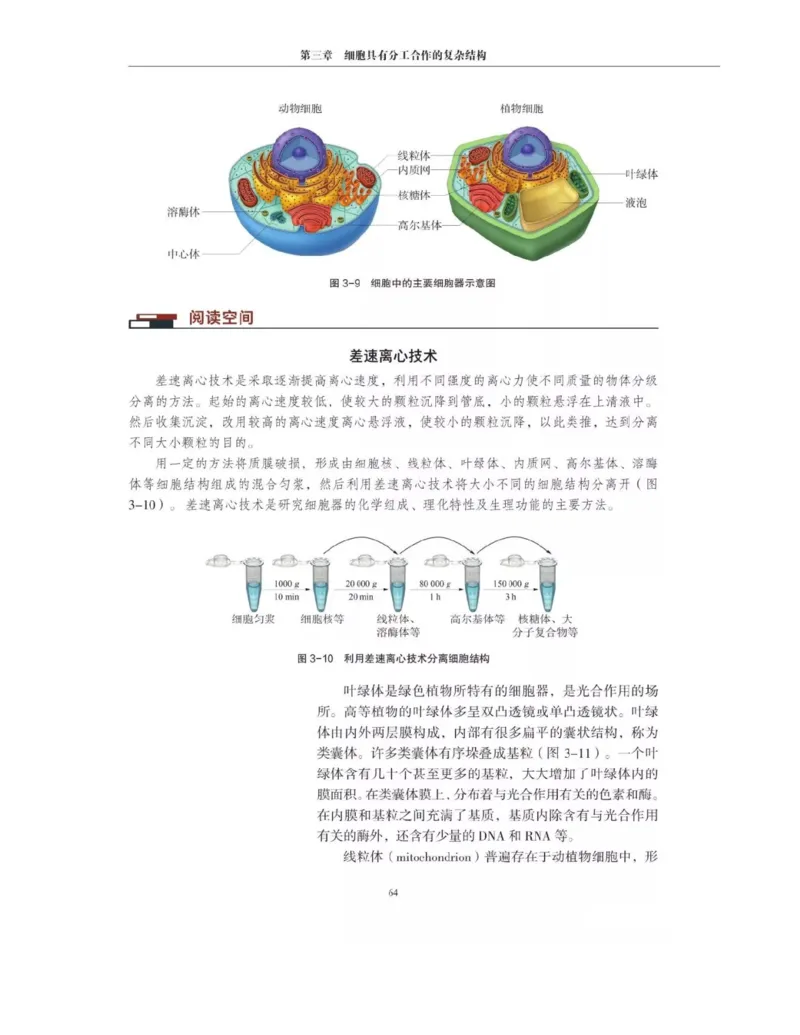 新沪科版高中生物必修1《分子与细胞》_电子课本_最新版高中全科高清电子课本_6高中生物课本_2019新人教版